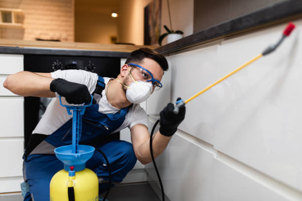 Best Mosquito Control Services  in Sweet Home, AR